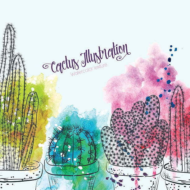 Sketchy Cactus With Splashy Watercolors. Sketchy Cactus With Splashy Watercolors. There are three different cactus varieties drawn in black pen style. Under that there are several bright splotches of watercolors. cactus drawings stock illustrations