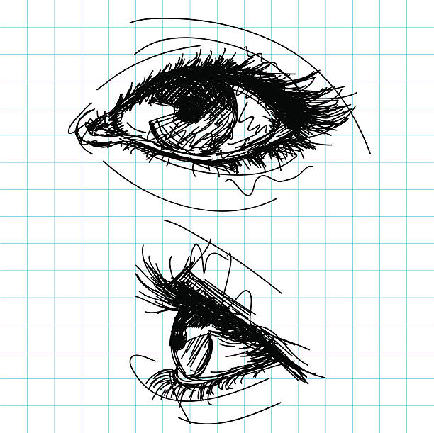 sketchy female eyes Sketchy, hand drawn female eyes on grid paper. The artwork and paper are on separate labeled layers. eye drawings stock illustrations