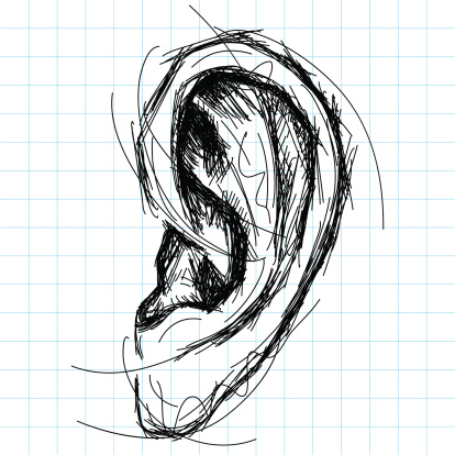 sketchy human ear