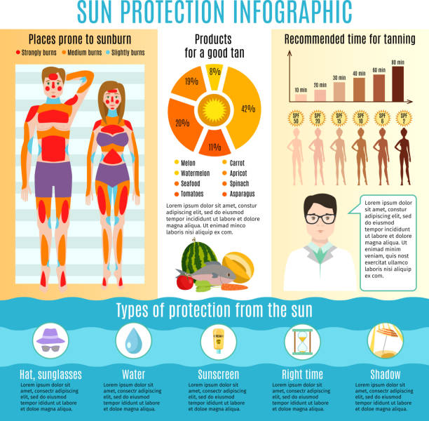 Skin cancer prevention sun uv protection infographic sunscreen medical protect human sunburn health care vector illustration Skin cancer prevention sun uv protection infographic sunscreen medical protect human sunburn health care vector illustration. Body melanin ultraviolet safety cream prevention dermatology treatment. sunburn graphics stock illustrations