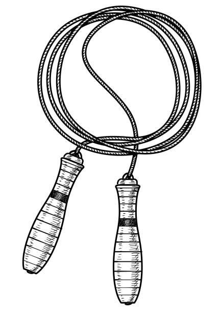 Drawing Vector Lines In Photo : Royalty free coiled rope clip art vector images