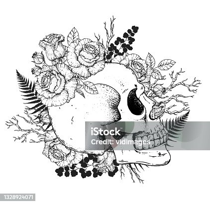 istock Skull and roses flowers hand drawn illustration. Sketch illustration. Tattoo vintage print. Skull and roses. T-shirt design. 1328924071