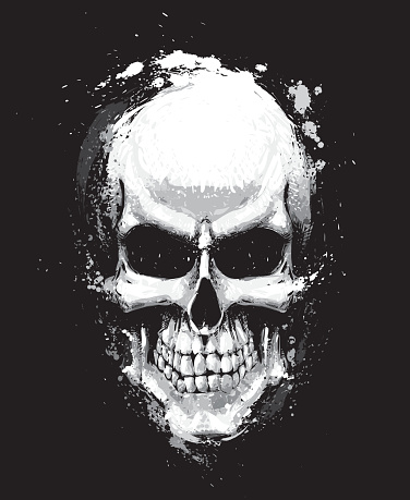 Skull Artistic Splatter Black n White