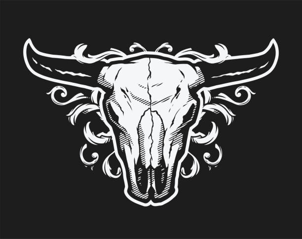 Skull bull. Vintage style on a dark background. Vector illustration. Skull bull. Vintage style on a dark background. drawing of the bull head tattoo designs stock illustrations
