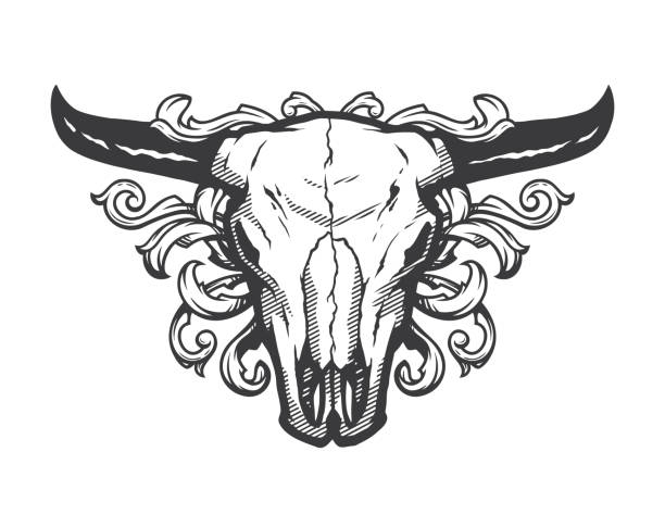 Skull bull. Vintage style, t shirt design. Vector illustration. Skull bull. Vintage style, t shirt design. drawing of the bull head tattoo designs stock illustrations