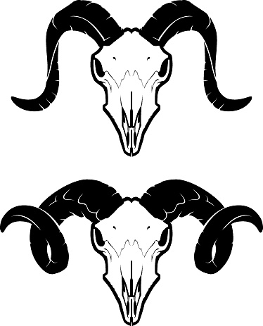 Skull Ram Front Set