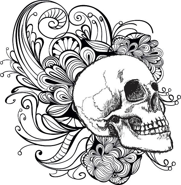 Skull Human skull decorated with floral ornament skulls tattoos stock illustrations