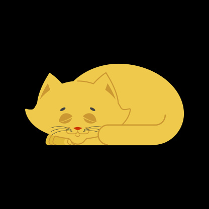 Sleeping cat yellow isolated. kitten be asleep. sleep pet