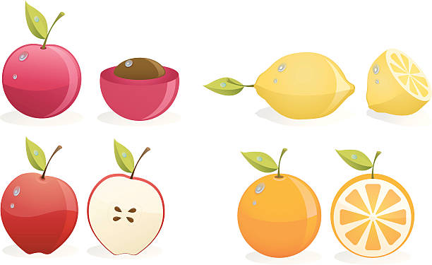 Sliced cherry lemon apple and orange clip art vector art illustration