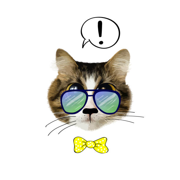 slogan with cat Portrait of Cat in glasses with bow tie. Vector illustration isolated on white bengals stock illustrations