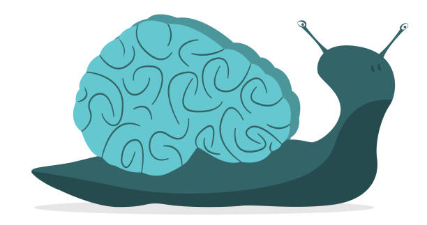 Slow brain A snail whose shell is shaped like a brain. snail stock illustrations