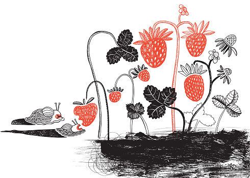 Slugs and strawberries