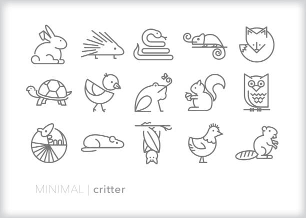 Small animal critter line icon set Set of 15 critter line icons of small animals found in the wild, on farms, in homes and in zoos hedgehog stock illustrations