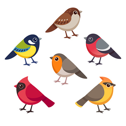 Set of cute cartoon small birds. Simple style drawing, isolated clip art vector illustration.