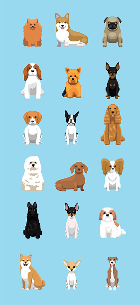 Small Dog Sitting Set Cartoon Vector Illustration Color Variation Set