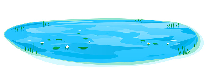 Small oval pond isolated illustration