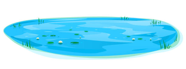 Small oval pond isolated illustration Small blue decorative pond with bulrush plants and white water lilies isolated, lake plants nature landscape fishing place, decorative pond in landscape design garden pond stock illustrations