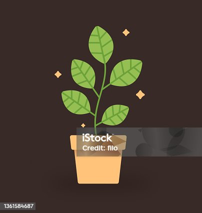 istock Small Potted Plant 1361584687