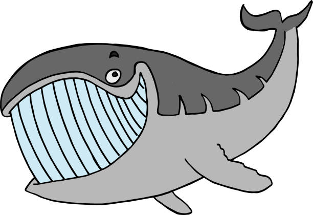 Best Wale Illustrations, Royalty-Free Vector Graphics & Clip Art - iStock