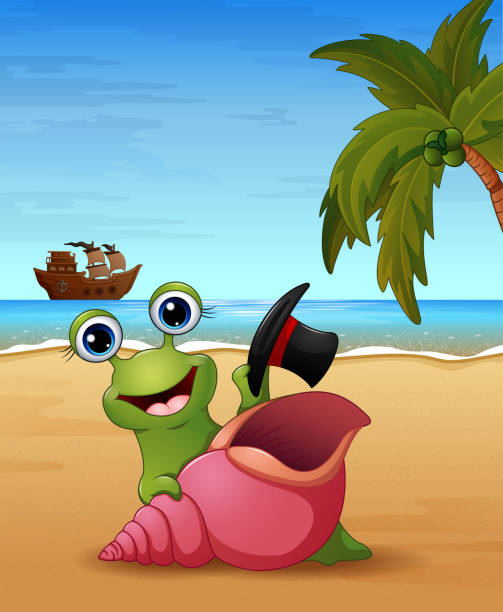 Smiling snail cartoon on the beach Illustration of Smiling snail cartoon on the beach sweet little models pictures stock illustrations