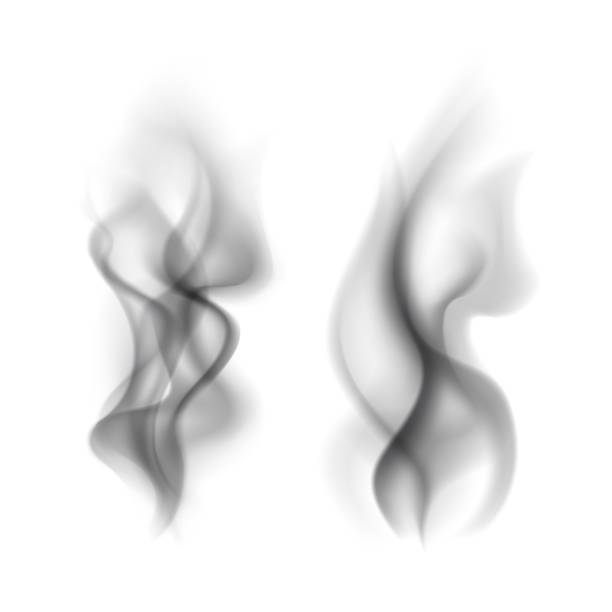 Smoke black. Transparent smoking clouds steam, cigarette or hookah vapor steaming curved texture isolated on white. Tea and coffee hot cup, fog mist or smog weather element, vector set Smoke black. Transparent smoking clouds steam, cigarette or hookah vapor steaming curved texture isolated on white background. Tea and coffee hot cup, fog mist or smog weather element, vector set wispy stock illustrations