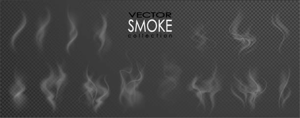Smoke vector collection. Smoke vector collection, isolated, transparent background. Set of realistic white smoke steam, waves from coffee,tea,cigarettes, hot food,... Fog and mist effect. smoke stock illustrations