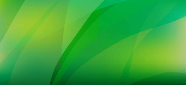 부드러운 녹색 추상적 인 배경 - 환경 보전 stock illustrations