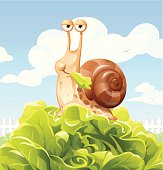 istock Snail Eating Salad 497252883