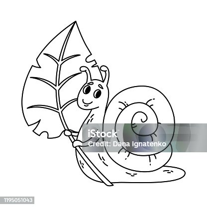 Lineart Salyangoz Kabugu Hayvan Surungen Molusc Outlinel Bedava Vektor
