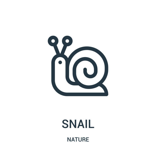 snail icon vector from nature collection. Thin line snail outline icon vector illustration. Linear symbol for use on web and mobile apps, logo, print media.  snail stock illustrations