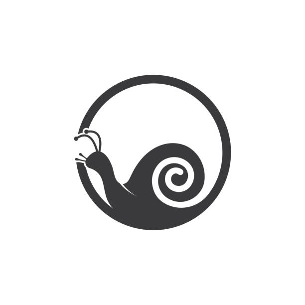snail logo template vector icon  snail stock illustrations