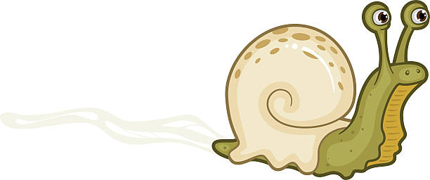 snail trail - escargot stock illustrations.