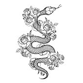 istock Snake and roses illustration. Vector illustration. Hand drawn illustration for t-shirt print, fabric and other uses 1353473582
