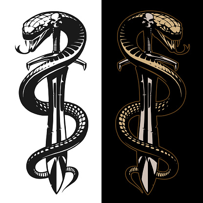 Snake silhouette illustration. Black snake isolated on 