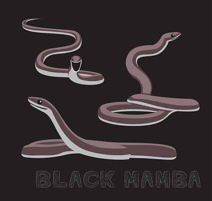 Snake Black Mamba Cartoon Vector Illustration