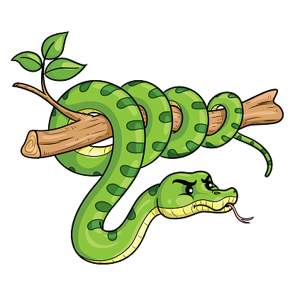 Snake cartoon on branch.