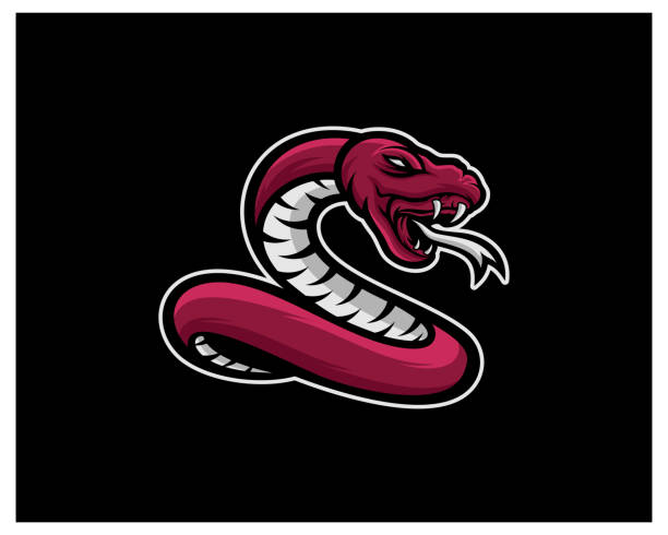 Snake Esport gaming mascot design template Vector. Modern Head Snake design Vector Snake Esport gaming mascot design template Vector. Modern Head Snake design Vector snake head stock illustrations