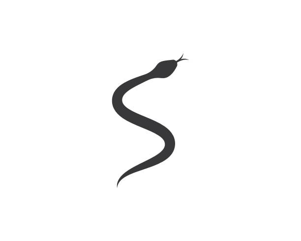 Snake vector Snake vector template snake head stock illustrations