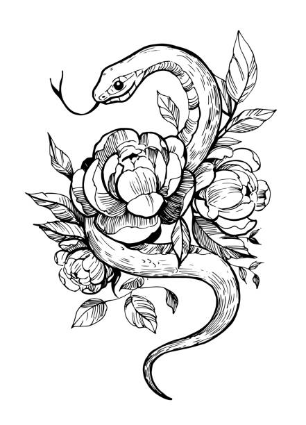 Snake with flowers. Hand drawn illustration converted to vector. Great for prints on a t-shirt, tattoo sketch. Snake with flowers. Hand drawn illustration converted to vector. Great for prints on a t-shirt, tattoo sketch. snakes stock illustrations