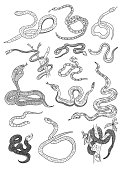 Snakes Doodle Set. Vector illustration. Each object is in a separate group.