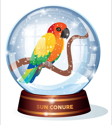 Snow Globe and Sun Conure