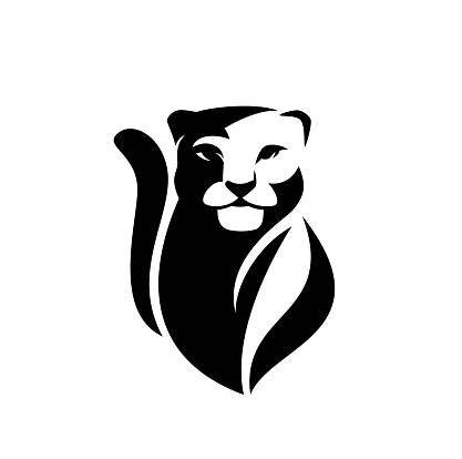 snow leopard or wild puma black and white vector outline portrait - animal head simple monochrome design