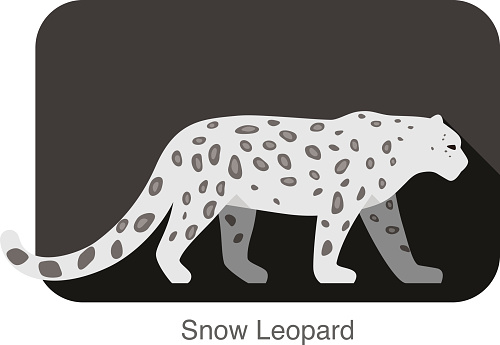 Snow Leopard  walking side flat 3D icon design