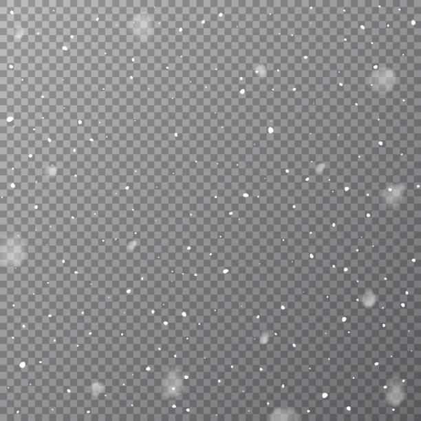 снегопад изолирован на прозрачном фоне. вектор падения снега шаблон. - снегопад stock illustrations