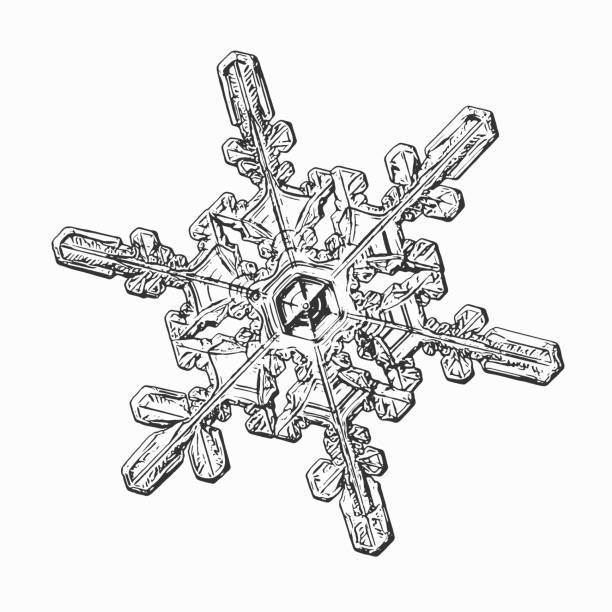 Snowflake isolated on white background vector art illustration