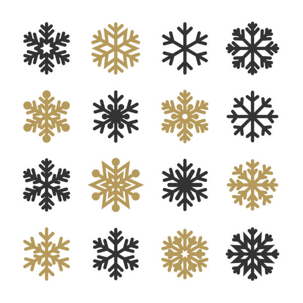 Snowflakes Set Vector illustration of the snowflakes set ice crystal stock illustrations