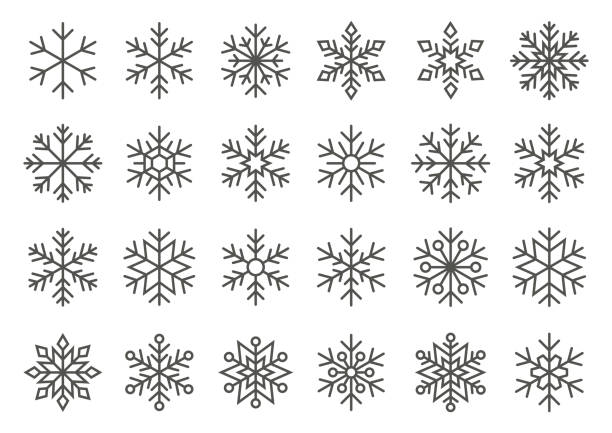 Snowflakes Set Vector illustration of the snowflakes set. ice crystal stock illustrations