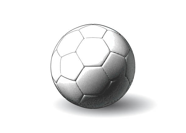 ilustrações de stock, clip art, desenhos animados e ícones de soccer ball  drawing illustration on white bg - futsal