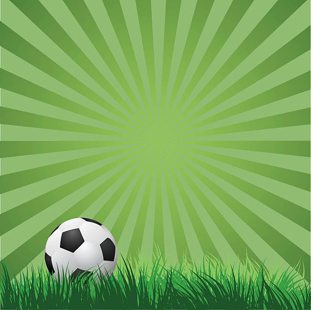 soccer ball on green grass  vector illustration soccer ball on green grass  vector illustration EPS10 background of a classic black white soccer ball stock illustrations