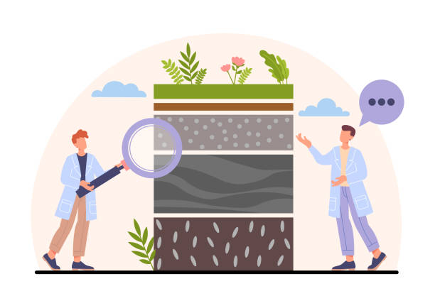 illustrazioni stock, clip art, cartoni animati e icone di tendenza di concetto di analisi del suolo - software agricoltura irrigazione
